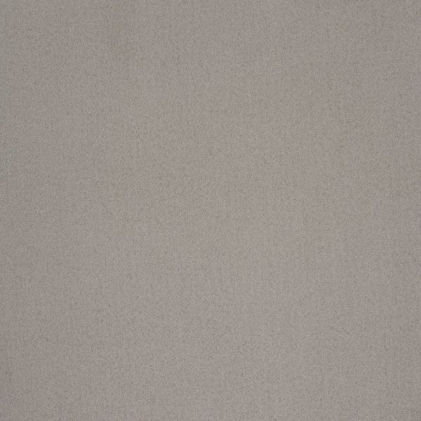 Light gray, fine-grain textured wall filling the frame; uniformly flat and unadorned, evenly lit by soft diffuse light, suggesting an interior surface with no visible windows or furnishings.