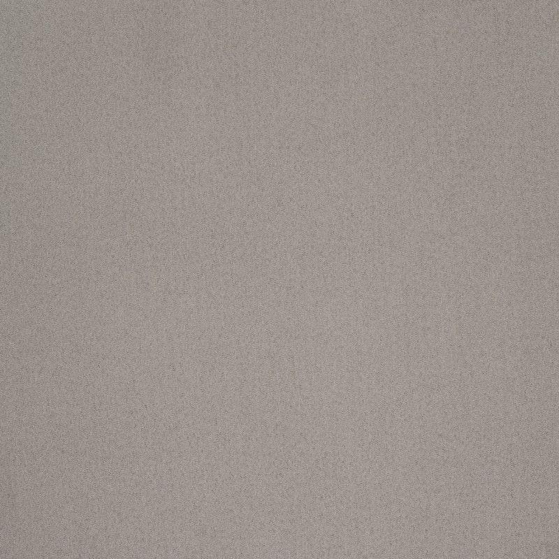 Light gray, fine-grain textured wall filling the frame; uniformly flat and unadorned, evenly lit by soft diffuse light, suggesting an interior surface with no visible windows or furnishings.