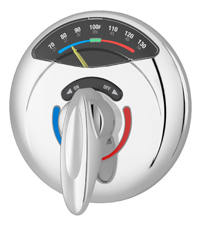 Visu-Temp® Shower Valve