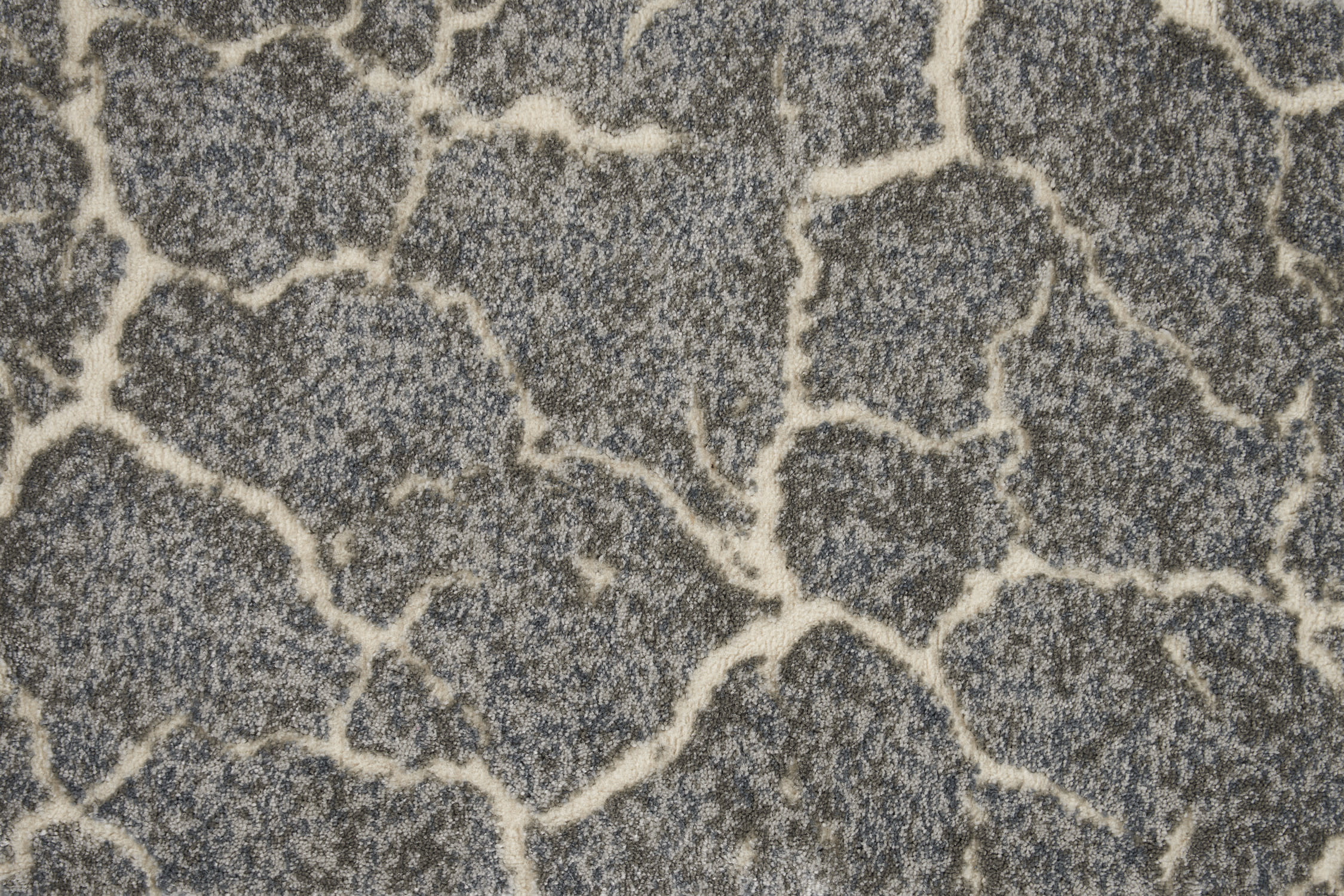 color-rug1