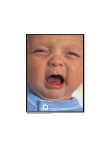 s--6XMxJ7Ea--/lw4fwklx0tin5se24dpn.jpg