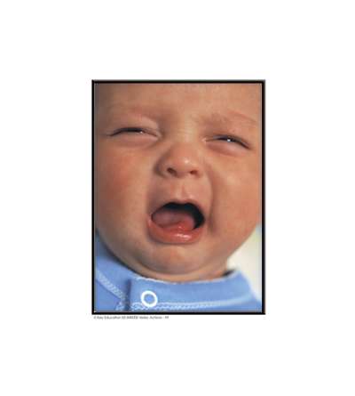 s--6XMxJ7Ea--/lw4fwklx0tin5se24dpn.jpg