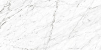 Marbles Carrara White 12×24 Field Tile Polished