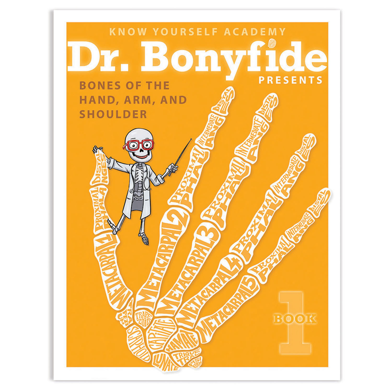 Know Yourself 4 Book Set: Dr. Bonyfide Presents 206 Bones of the Human Body image number null