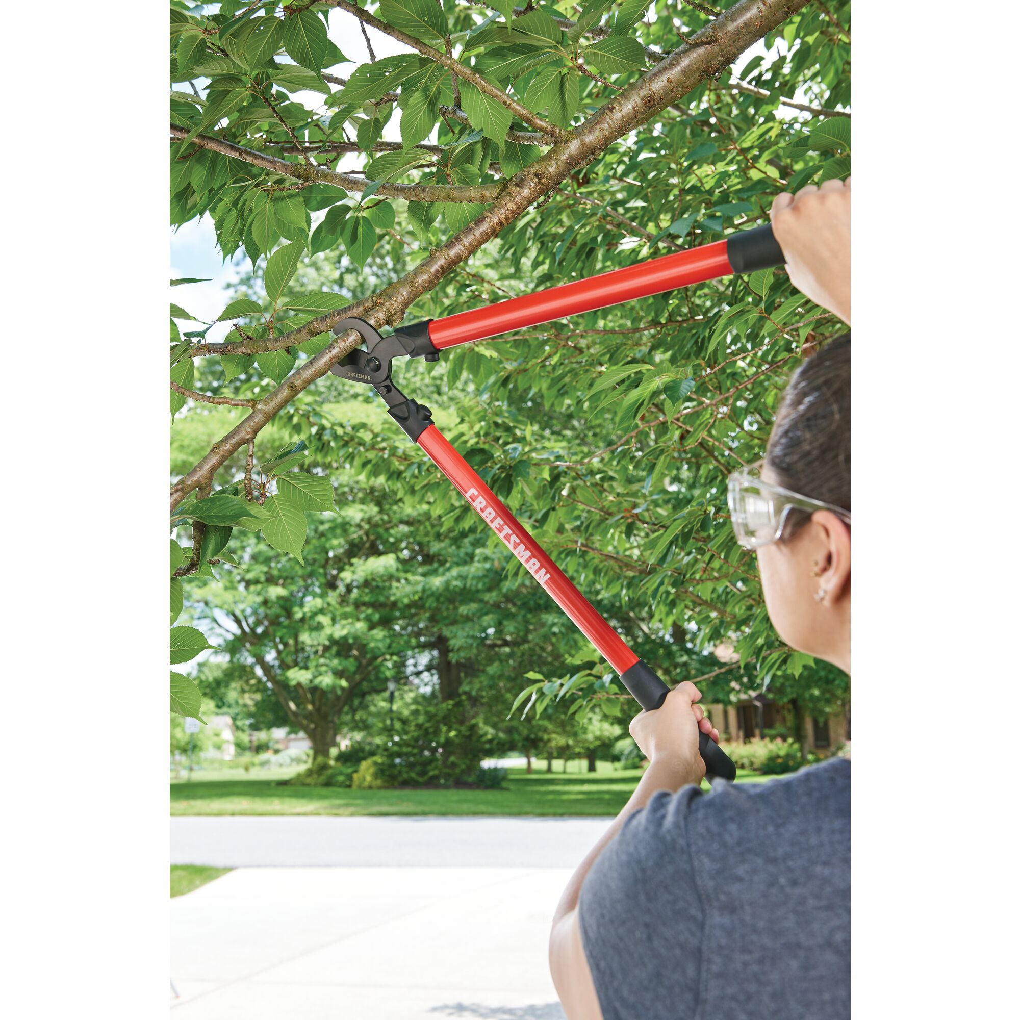 Bypass lopper being used by a person to trim a branch.