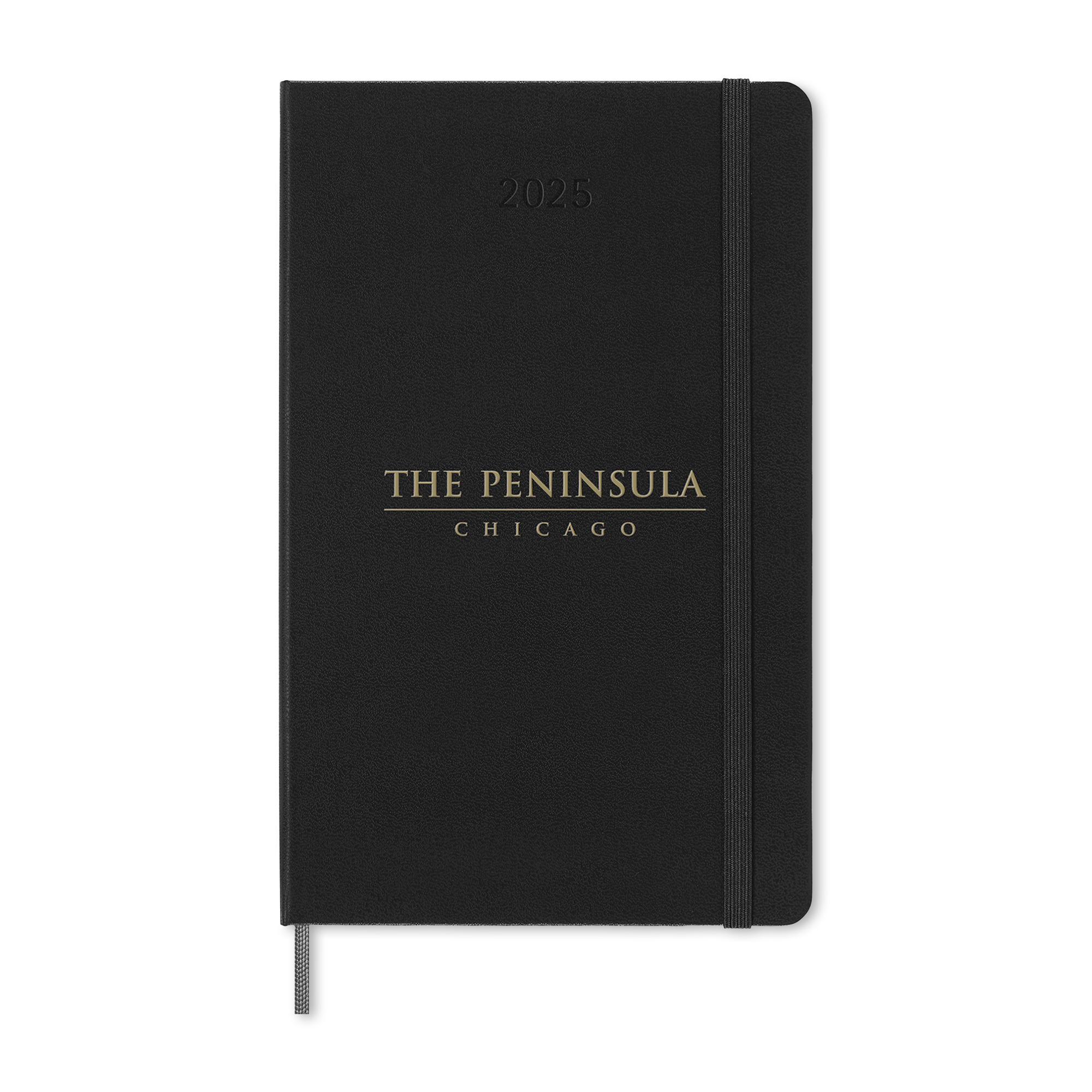 Moleskine® Hard Cover Large 12-Month Daily 2025 Planner-Moleskine