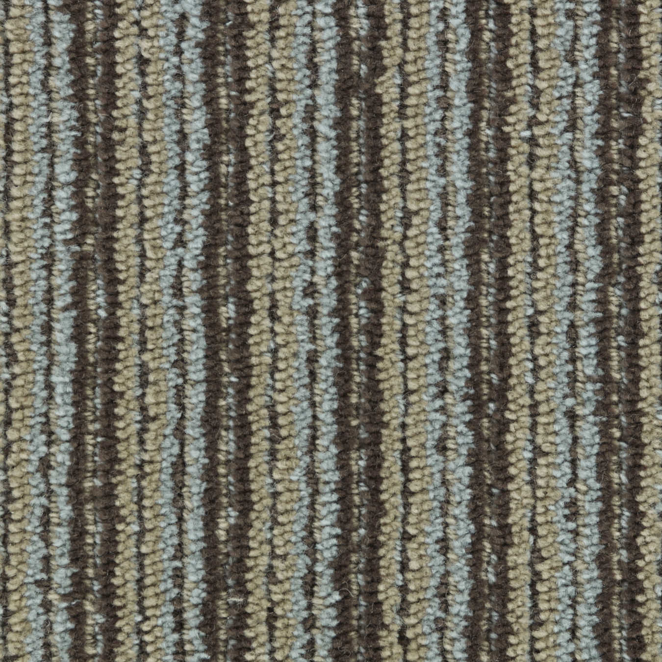 color-rug1