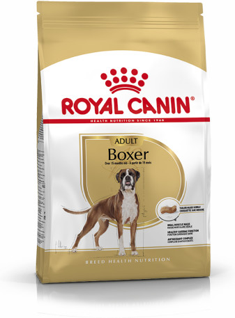 Boxer Adult