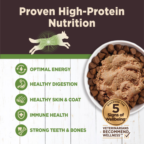 The benefits of Wellness CORE Digestive Health Lamb