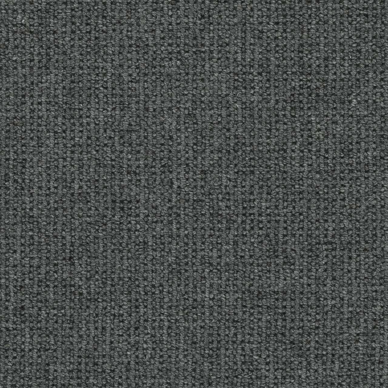 color-rug1