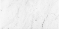 Bianco Venatino 12×24 Field Tile Honed