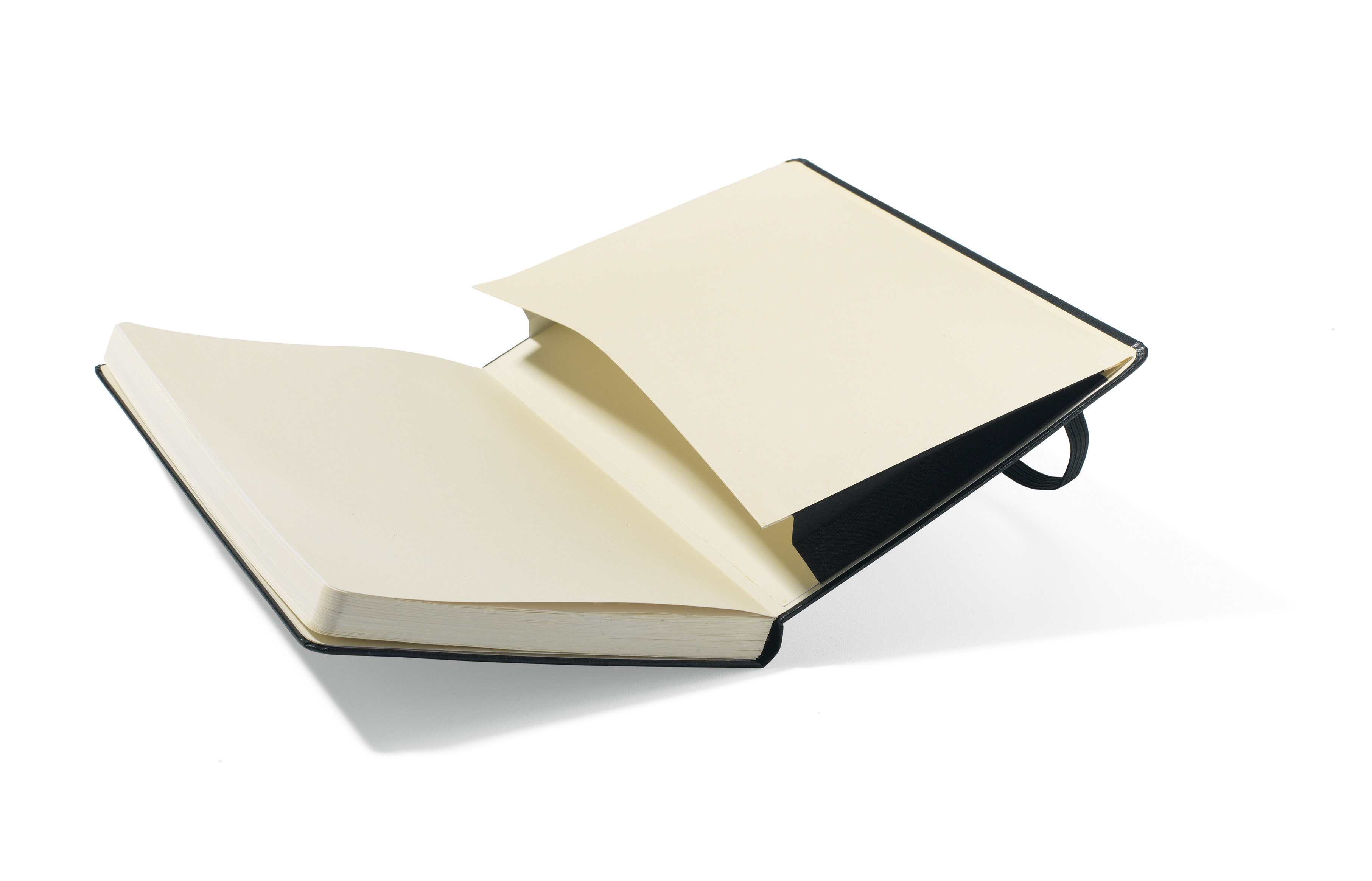 Moleskine&#174; Hard Cover Plain Large Notebook-Moleskine