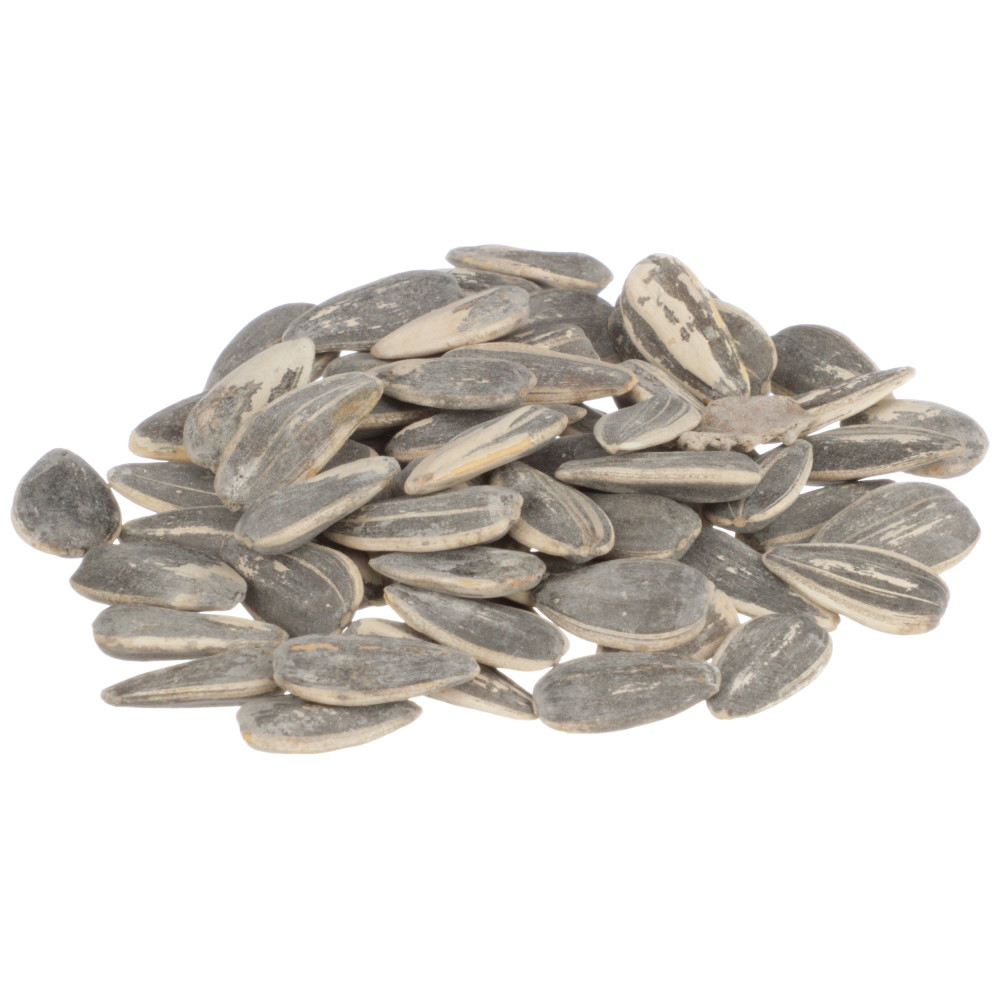 DAVID Reduced Sodium Sunflower Seeds Conagra Foodservice
