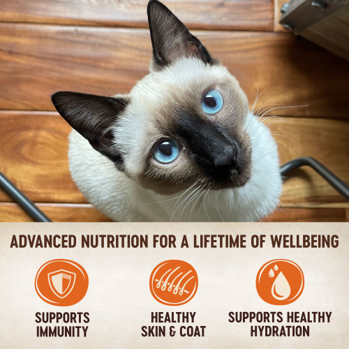 The benifts of Wellness CORE Tiny Tasters Chicken Pate