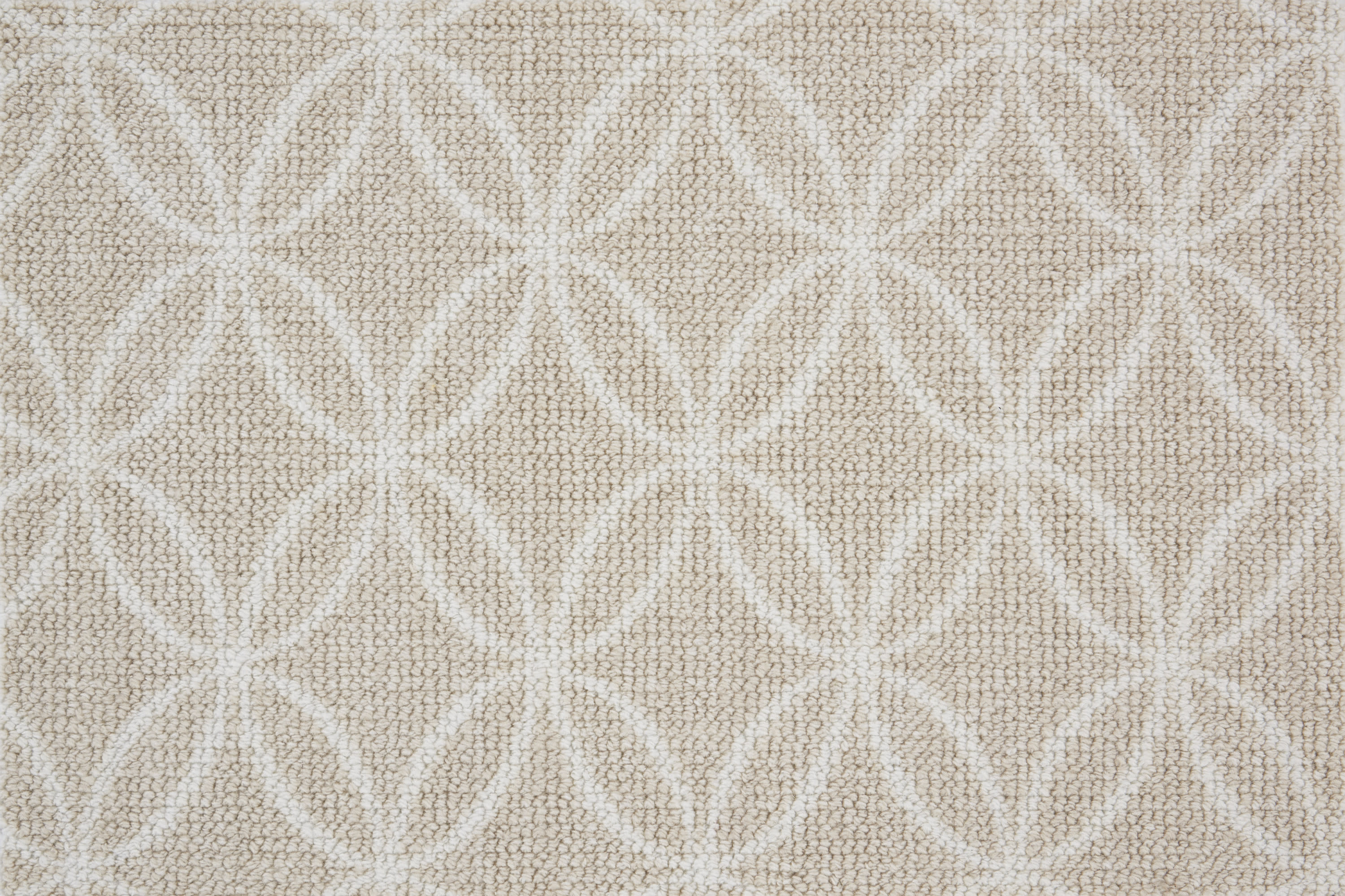color-rug1
