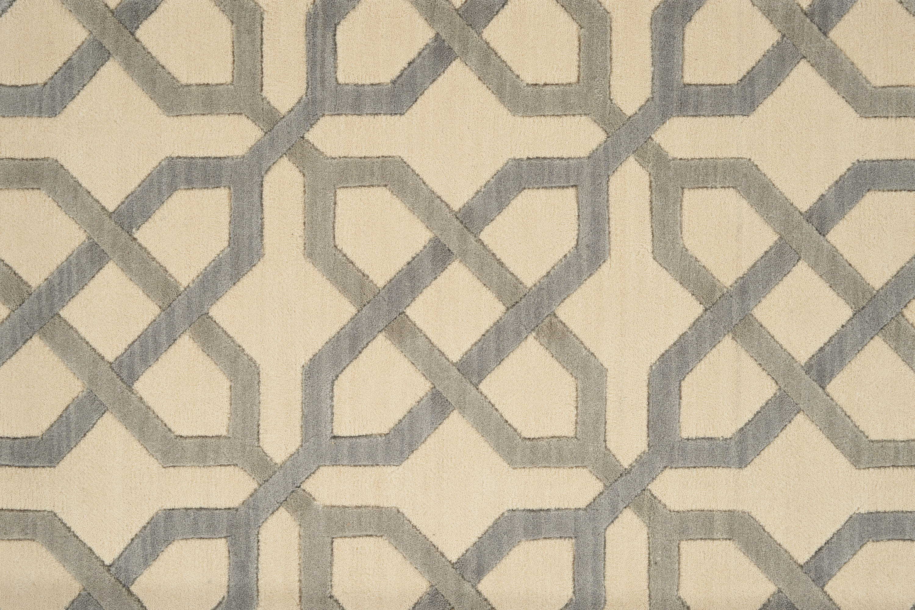 color-rug1