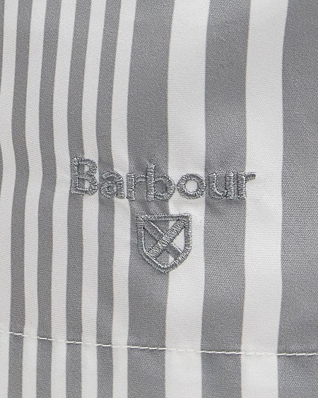 Decklam Striped Swim Shorts