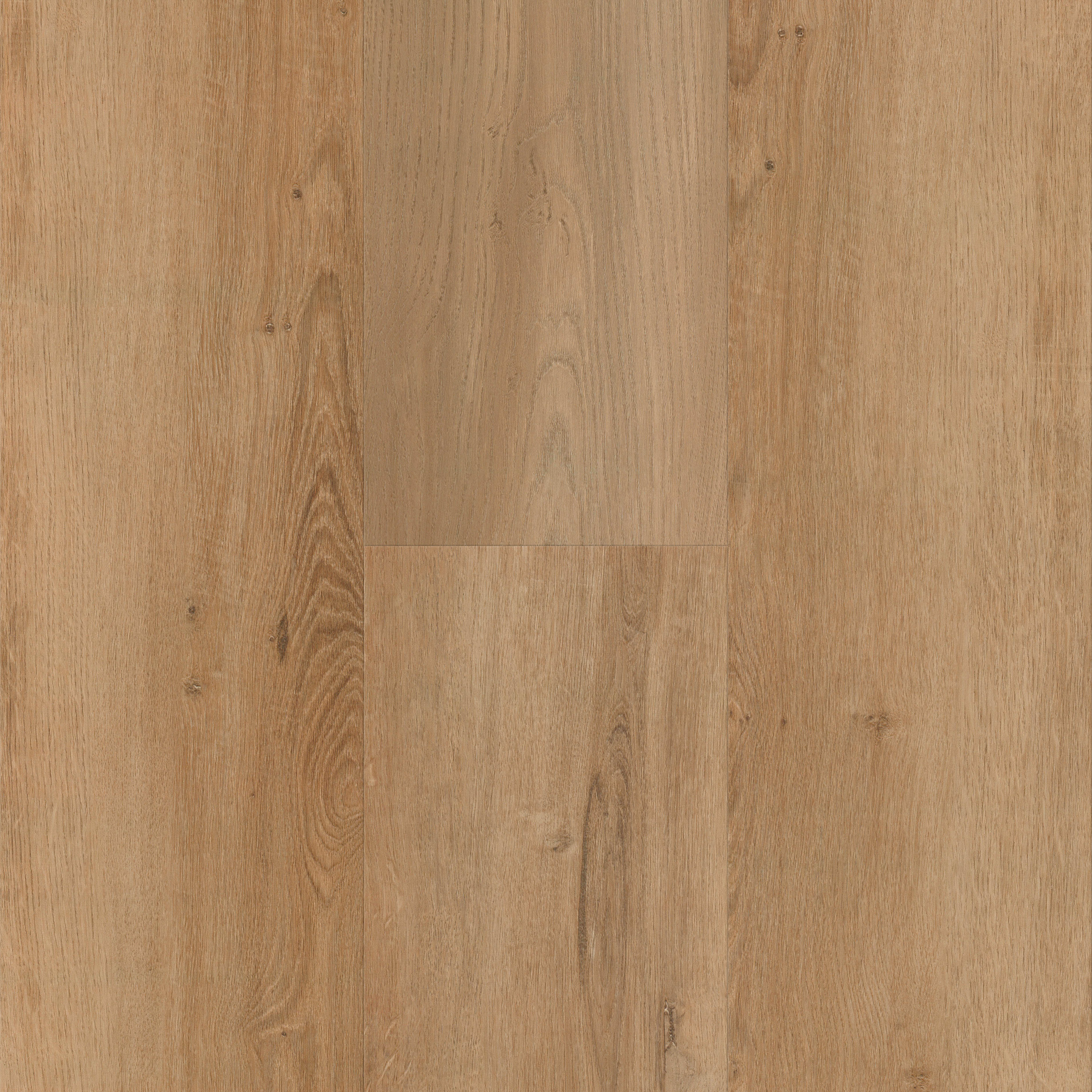 Aerial Oak Longboards Icons Threshold view 4