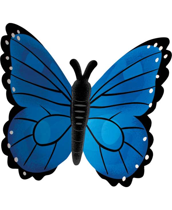 s--7-hqaKPL--/rbxvtbvcnwh0vyn59acg.jpg