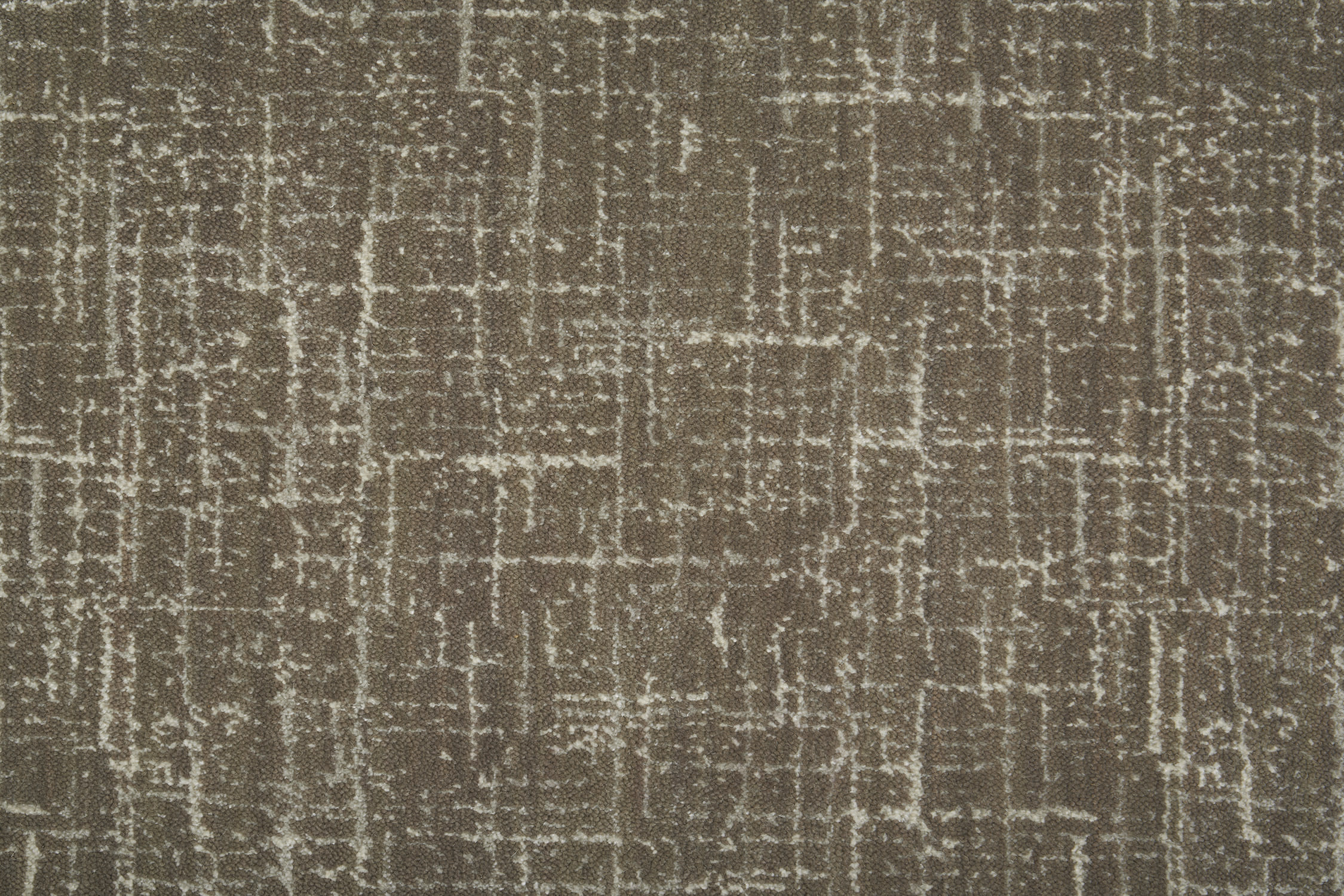 color-rug1