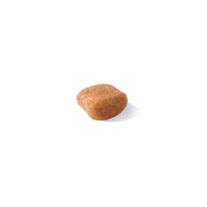 Poodle kibble