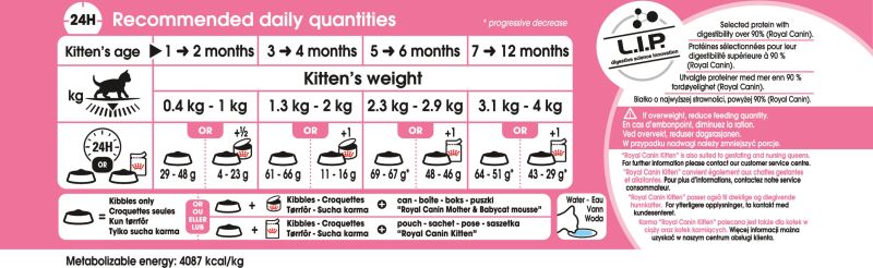 Kitten Feeding Chart Food