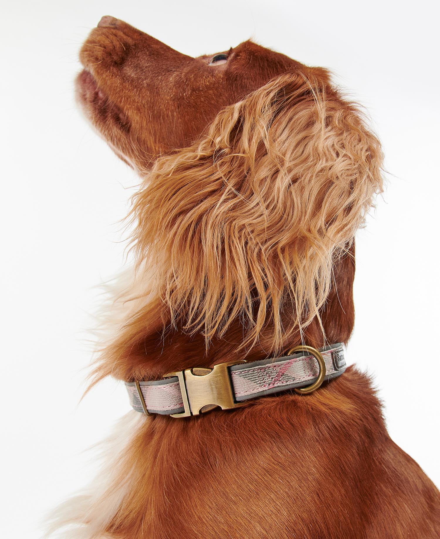Reflective Tartan Dog Collar image number 1