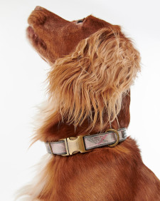 Reflective Tartan Dog Collar Taupe-Pink Tartan