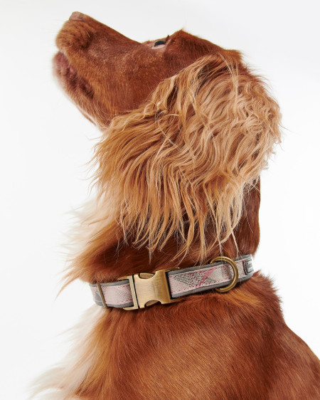 Reflective Tartan Dog Collar