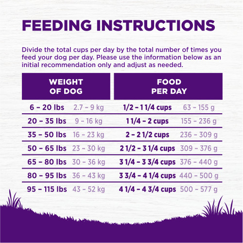 <p>Standard measuring cup holds approximately 4.2 oz (119g) of Wellness Complete Health Grain Free Lamb & Lamb Meal Recipe Dog Food.									</p>
<p>Weight of Dog (lbs)	Weight of Dog (kg)	Cups per Day		Grams per Day<br />
6 – 20	2.7 – 9	1/2 – 1 1/4		63 – 155<br />
20 – 35	9 – 16	1 1/4 – 2		155 – 236<br />
35 – 50	16 – 23	2 – 2 1/2		236 – 309<br />
50 – 65	23 – 30	2 1/2 – 3 1/4		309 -376<br />
65 – 80	30 – 36	3 1/4 – 3 3/4		376 – 440<br />
80 – 95	36 – 43	3 3/4 – 4 1/4		440 – 500<br />
95 – 115	43- 52	4 1/4 – 4 3/4		500 – 577					</p>
<p>Dogs over 115 lbs (52kg): Add approximately 1/3 cup (35g) for every 10 lbs (4.5kg) over 115 lbs.									</p>
<p>Combination Feeding: If feeding with Wellness wet food, reduce dry amount fed by 1/4 cup (21g) for every 6 oz (170g) of wet food.</p>
