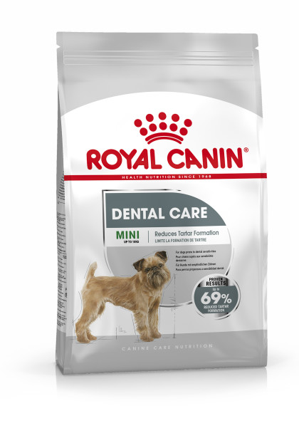 Mini Dental Care