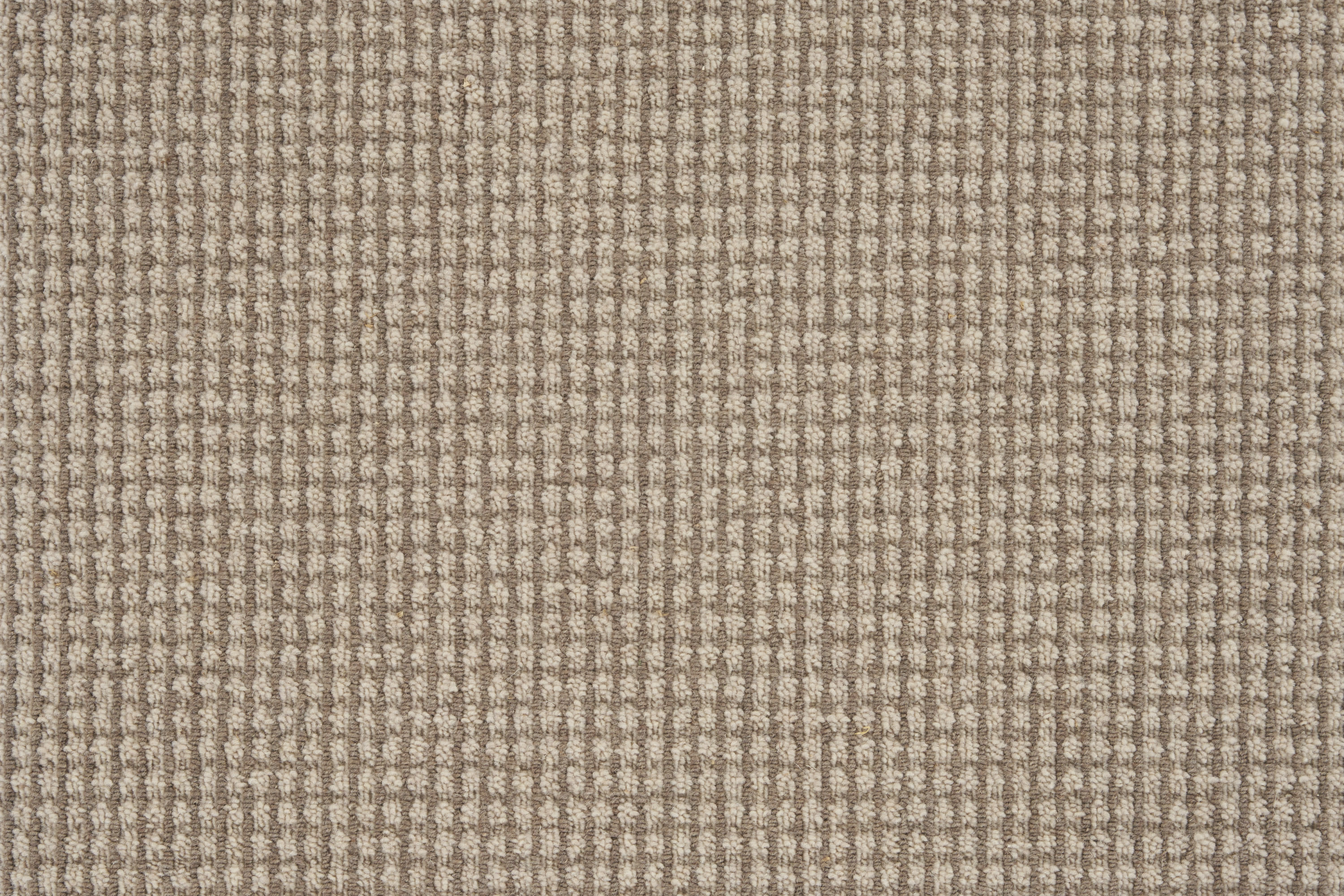 color-rug1