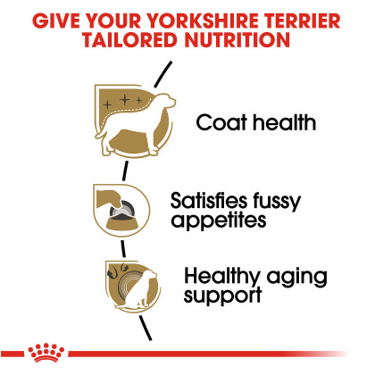 Yorkshire Terrier Adult Dry Dog Food