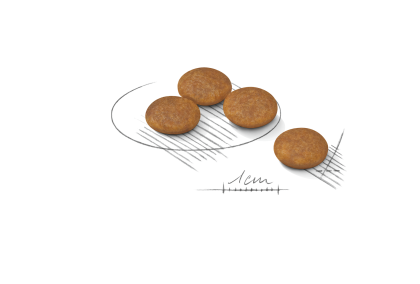 X-Small Light Weight Care kibble
