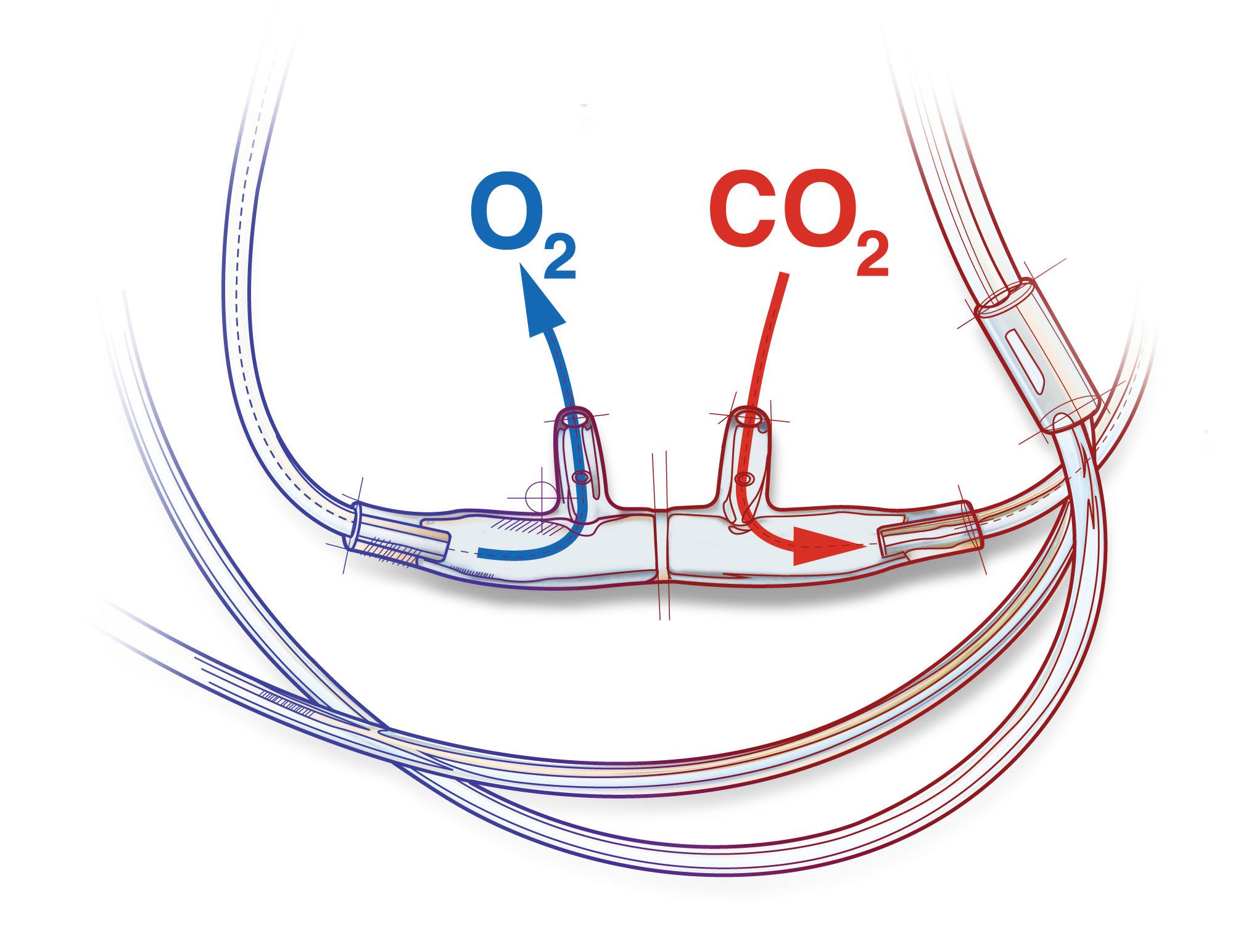 Salter-Style® ETCO2 Nasal Sampling Cannula with O2