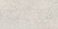 Lemnos White 12×24 Field Tile Rectified