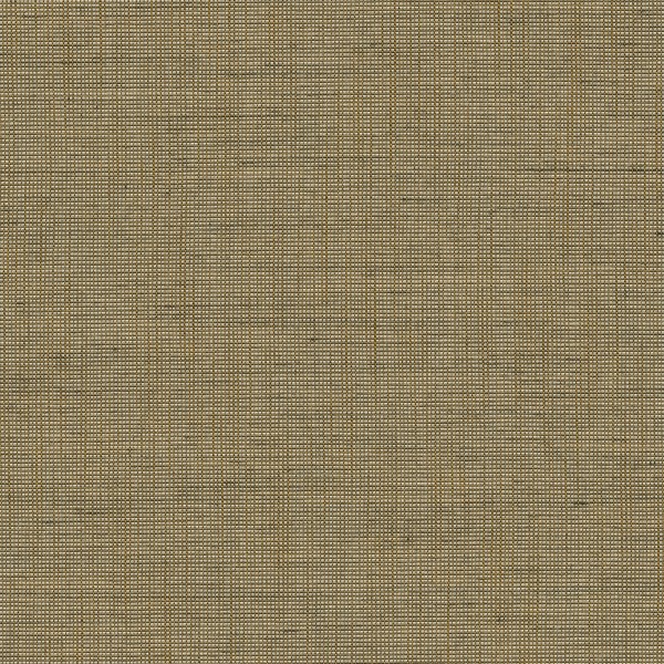 Be Be-83 Roman Blind