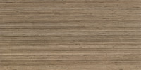 Shibusa Tortora 24×48 Field Tile Matte Rectified