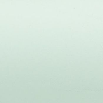 Pale mint-green textured wall fills the frame, showing subtle horizontal brush marks; evenly lit close-up with soft diffuse light, minimal scene lacking distinguishable features.