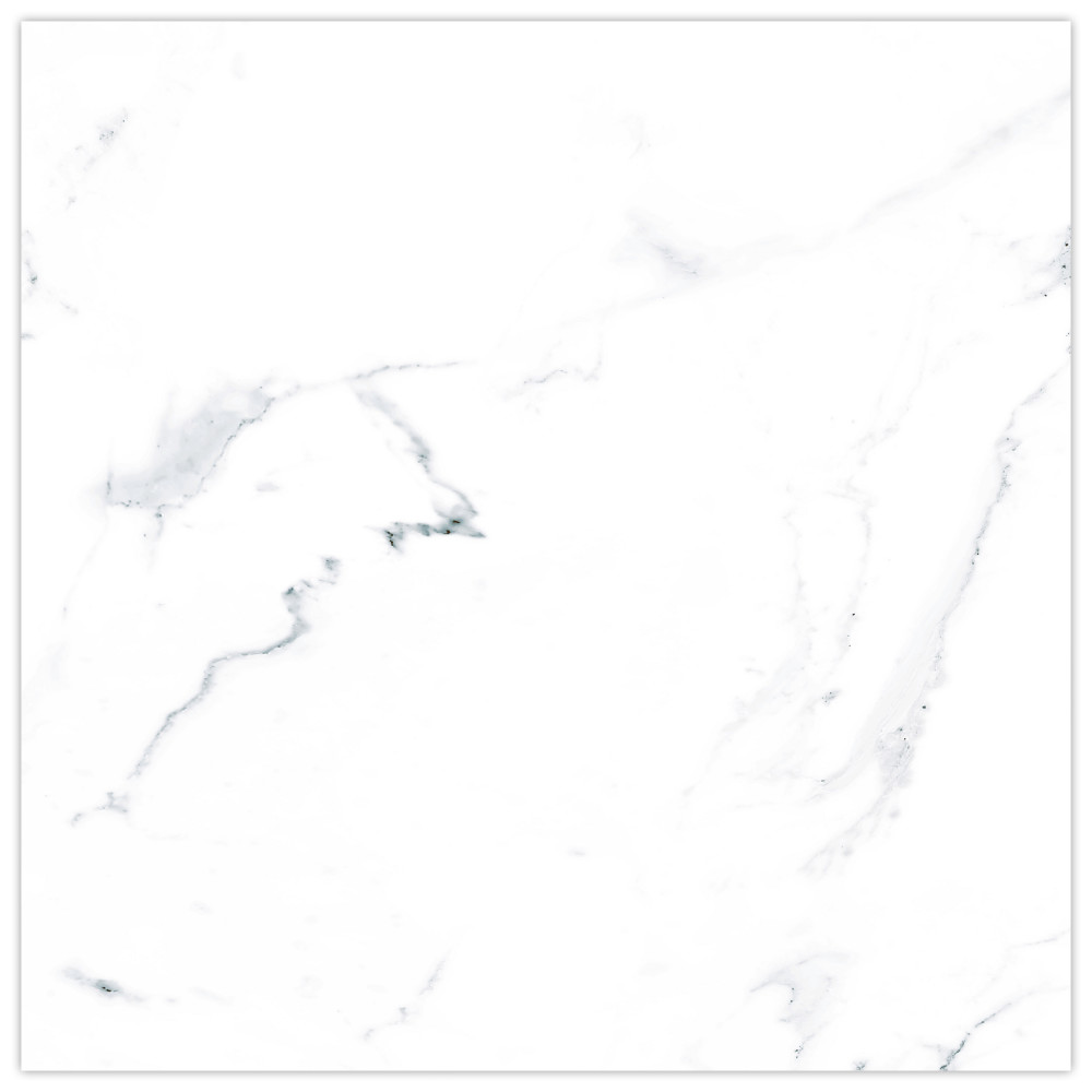 Timeless Calacatta 9-3/4 in. x 9-3/4 in. Porcelain Floor and Wall Tile