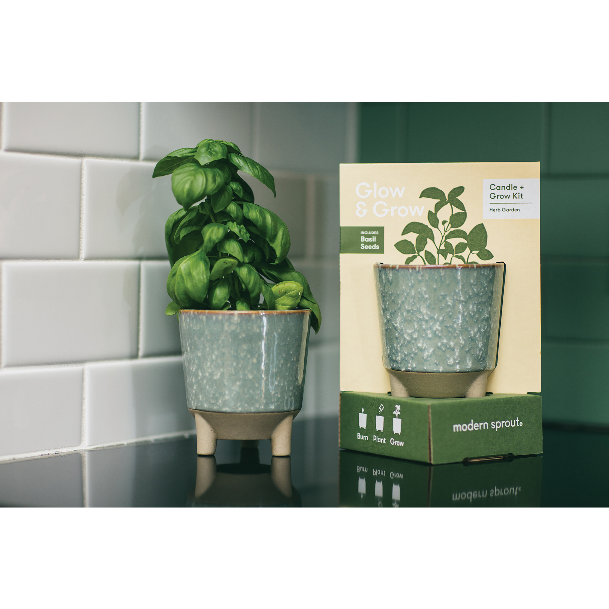 Modern Sprout® Glow & Grow Live Well Gift Set-Modern Sprout