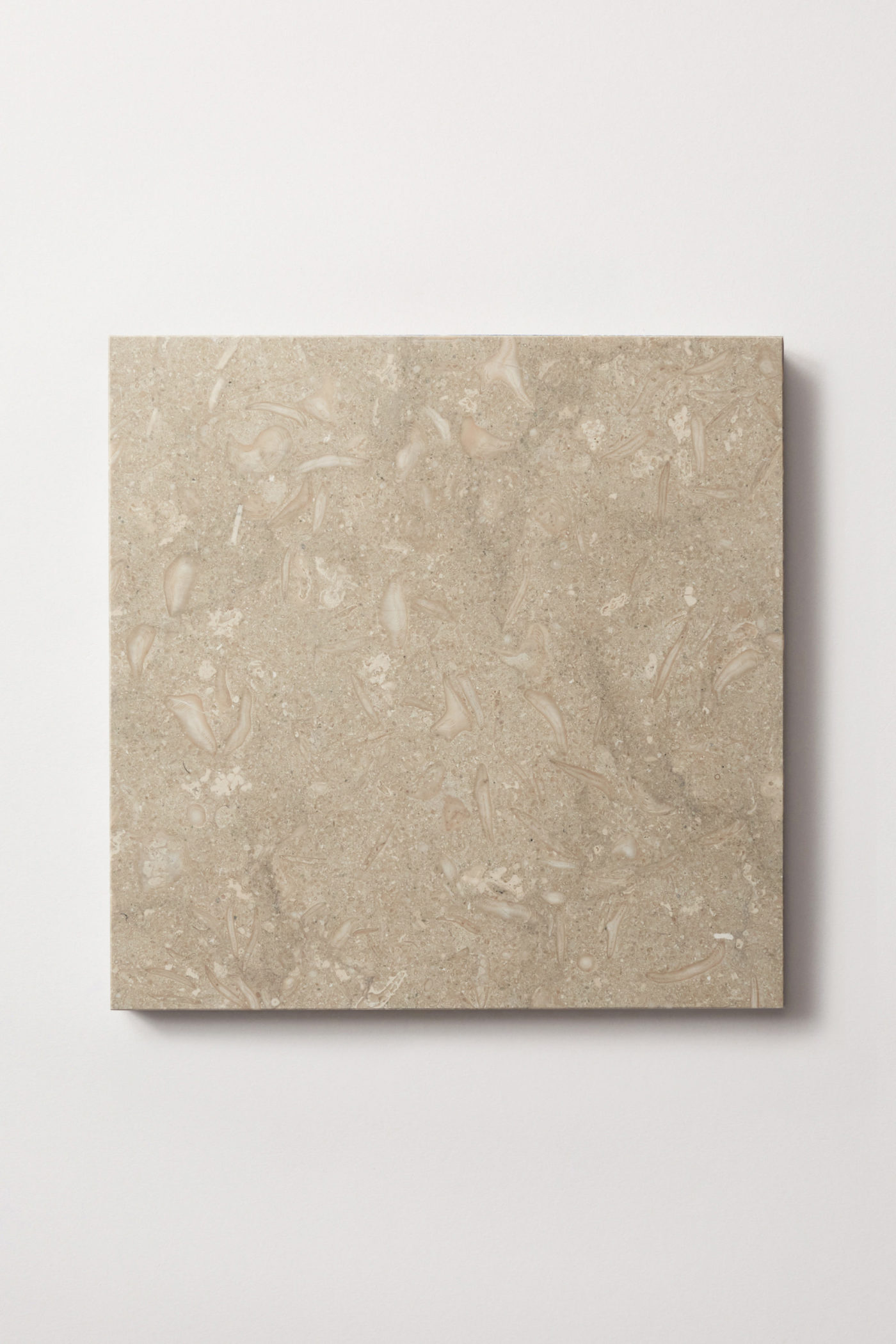 a square beige tile on a white surface.