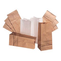 White Paper Bag, 5 x 3.13 x 9.75 Inch