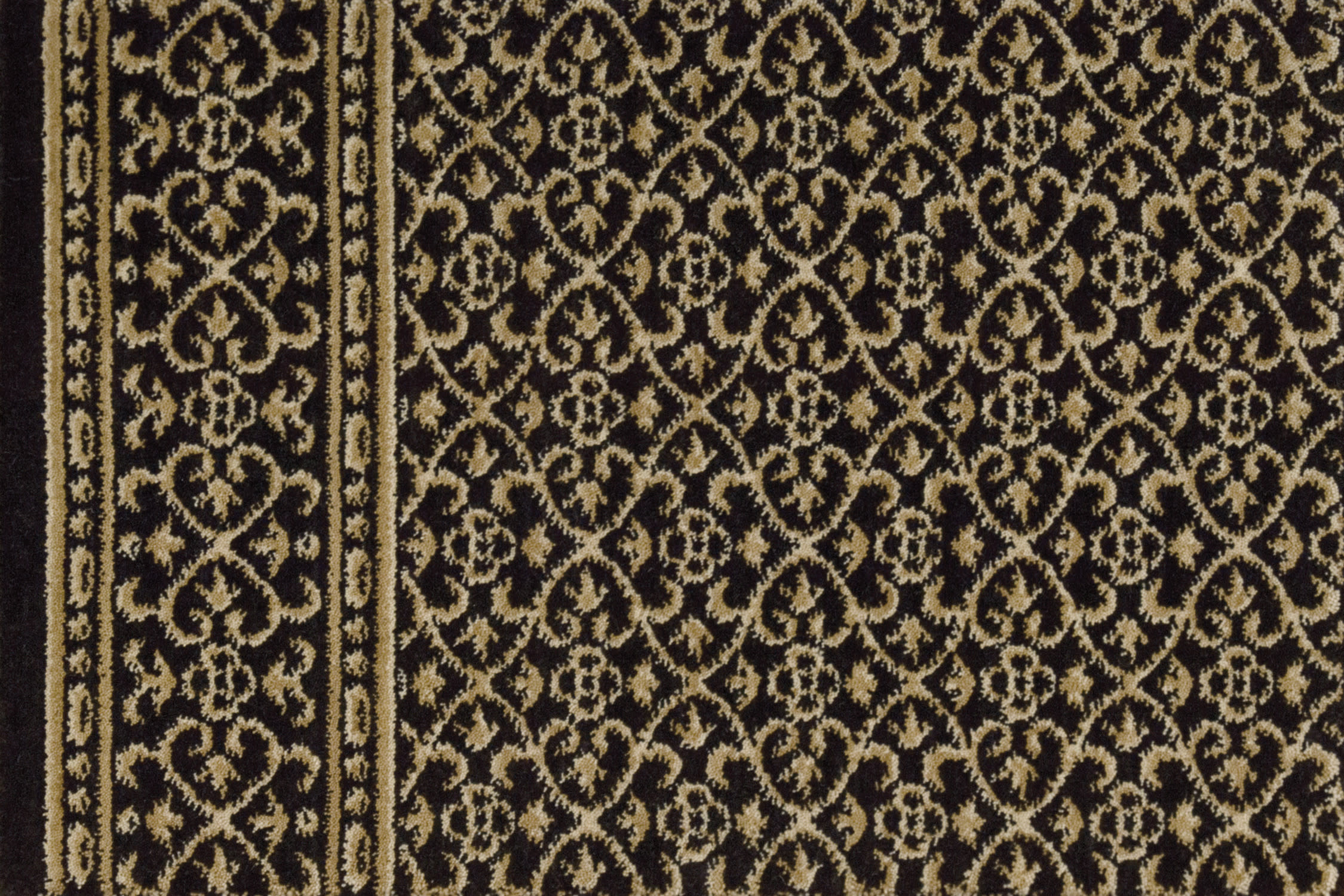 color-rug1
