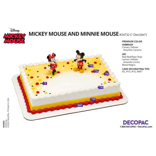 Mickey Mouse and Minnie Mouse Cake Decorating Instruction Card