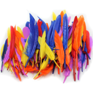 Duck Quills Feathers, 14 Grams