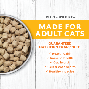 Raw Longevity Adult Freeze-Dried Chicken Bites Cat Food - Instinct Pet Food
