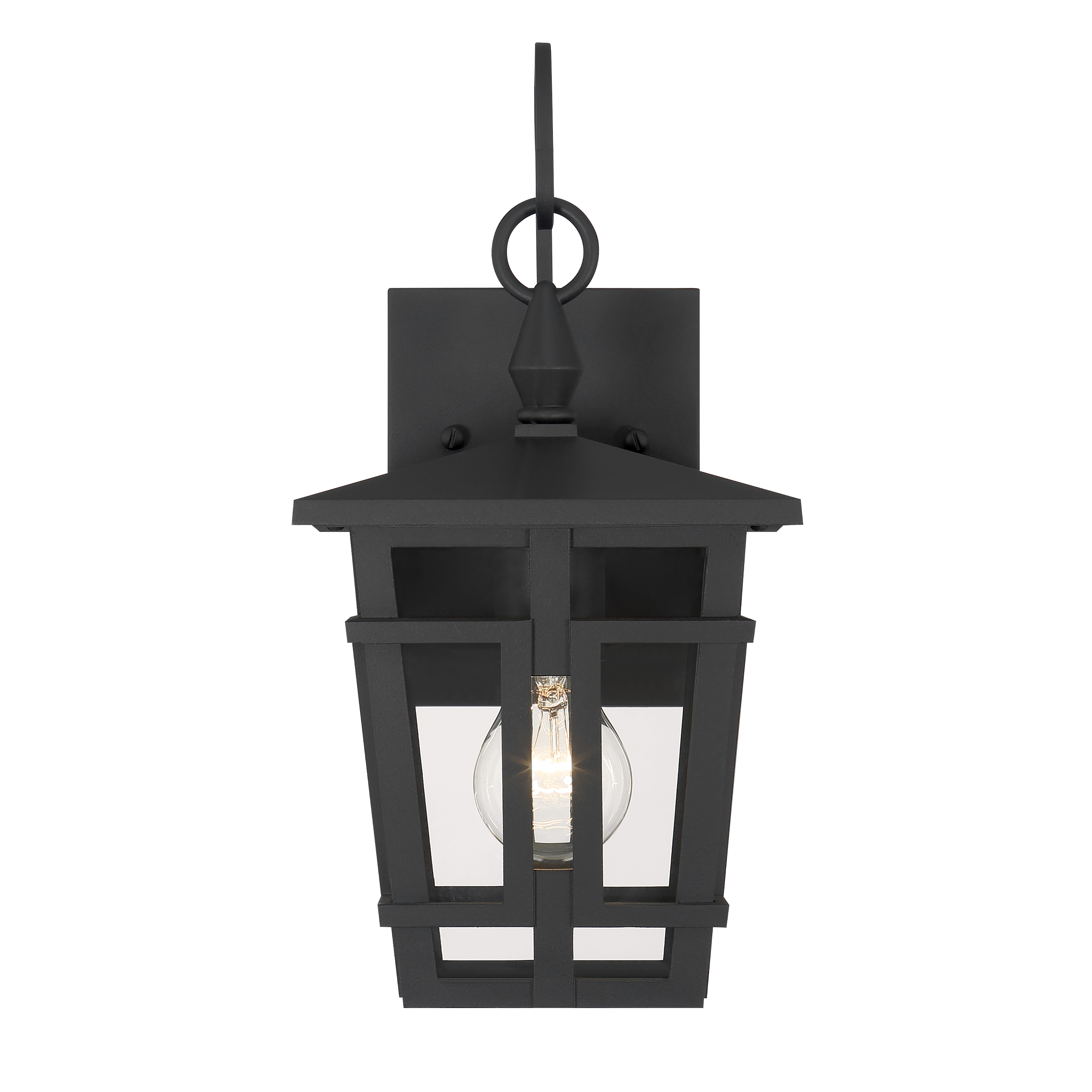 1-Light Outdoor Wall Sconce - Sand Coal Black with Clear Glass - alternate view