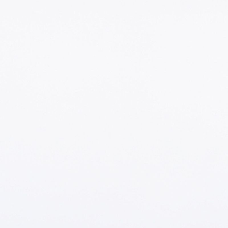 Blank white sheet of paper lying flat, showing subtle textured grain; evenly lit and free of shadows, serving as a plain neutral backdrop or scanned surface in studio-like lighting.