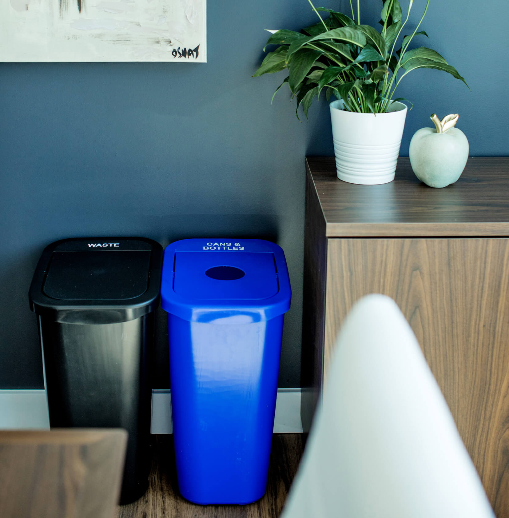 black waste and blue cans and bottles recycling bins in an upscale office